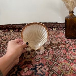 Ceramic sea shell dish